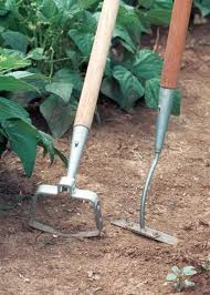 weed control - Gardening & Plant Propagation